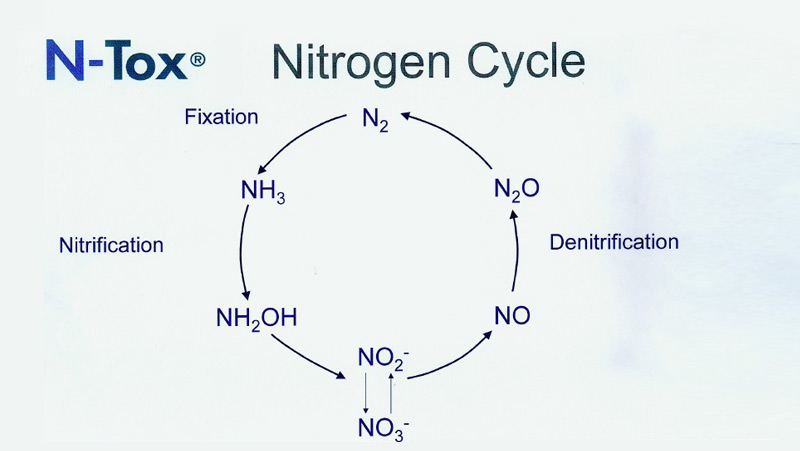 NTOX污水硝化菌報警系統